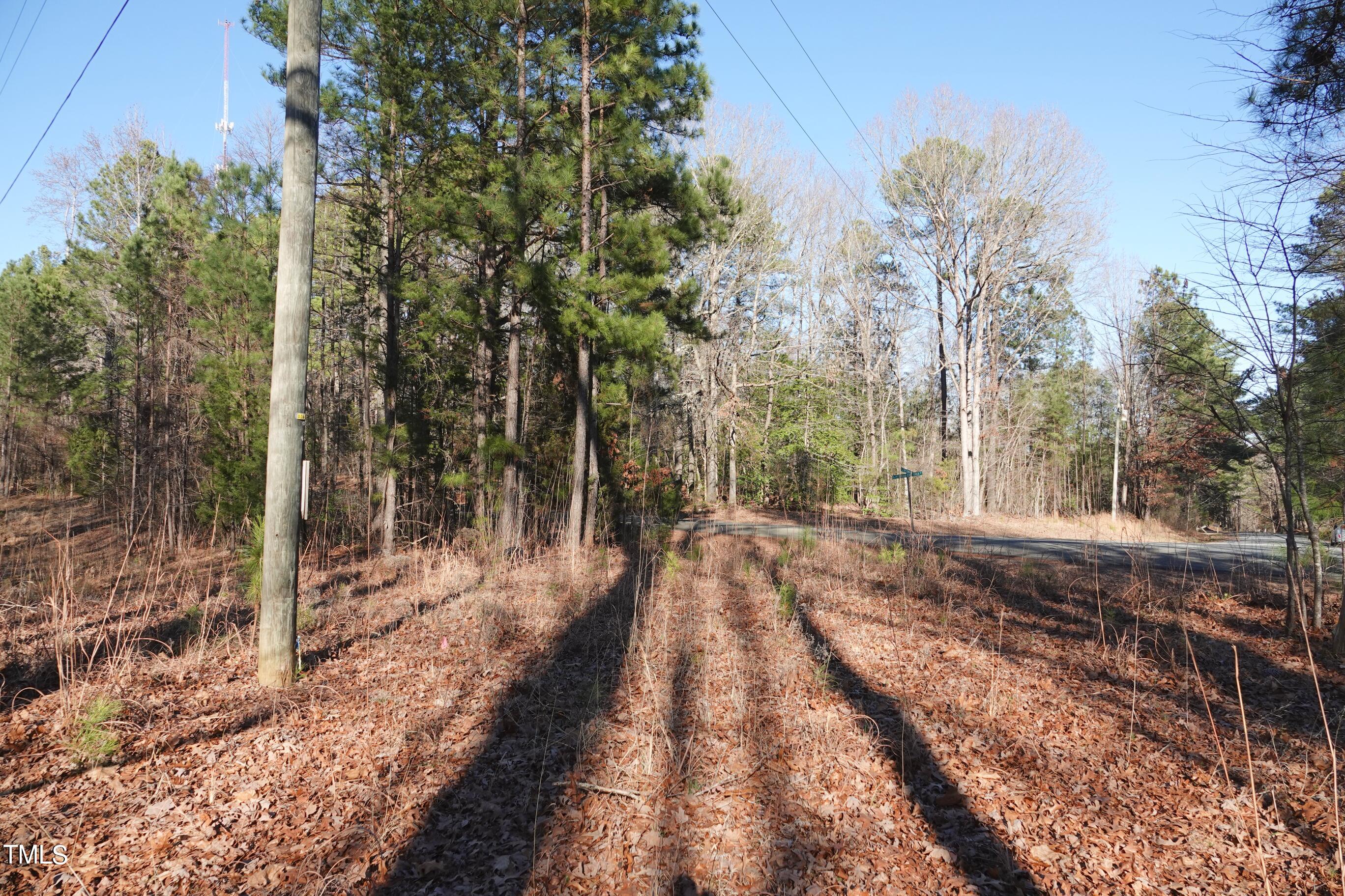 0 Fire Tower Road Pittsboro, NC 27312 - Photo 5 of 7 a view of a forest with trees