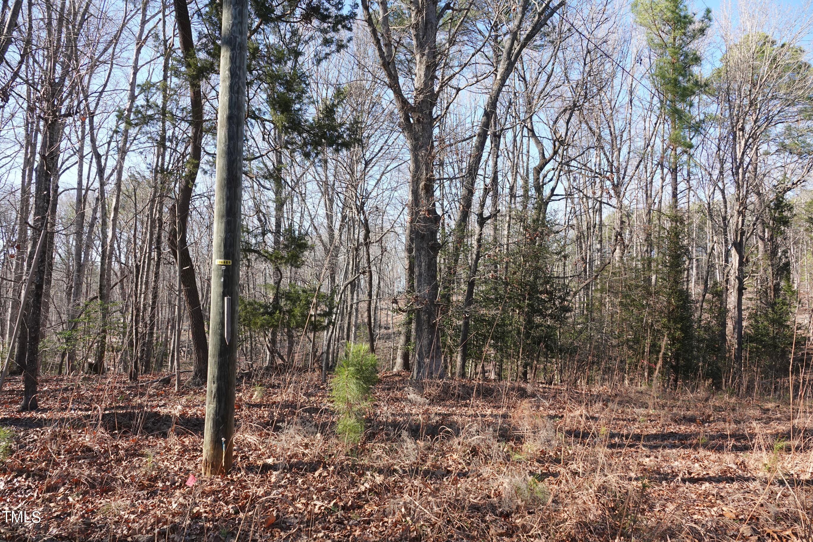 0 Fire Tower Road Pittsboro, NC 27312 - Photo 6 of 7 a view of a forest with trees in the background