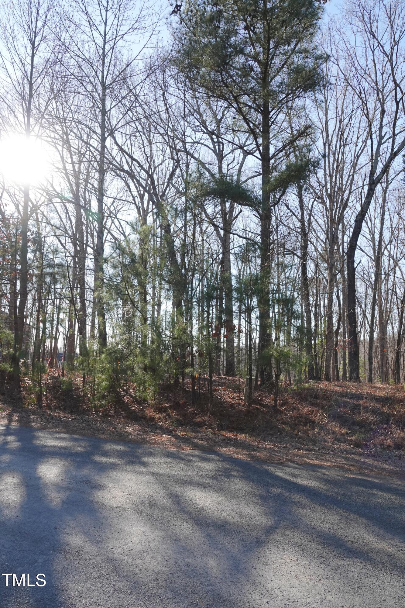0 Fire Tower Road Pittsboro, NC 27312 - Photo 7 of 7 a view of road with trees