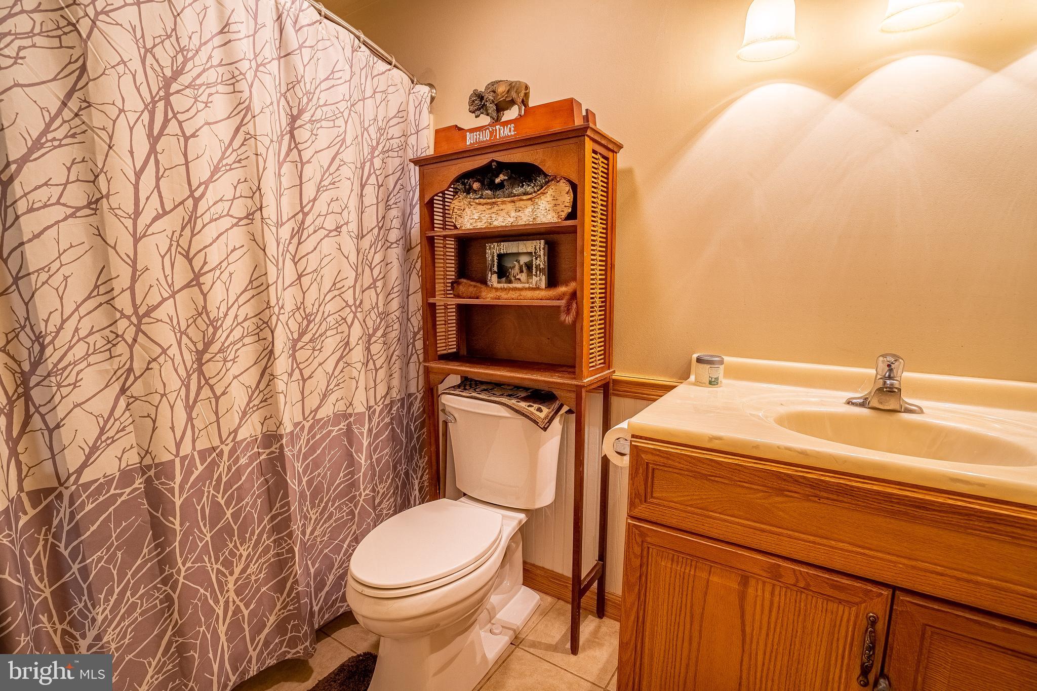 831 Rivanna Run Falling Waters, WV 25419 - Photo 61 of 64 Gallery Image 61
