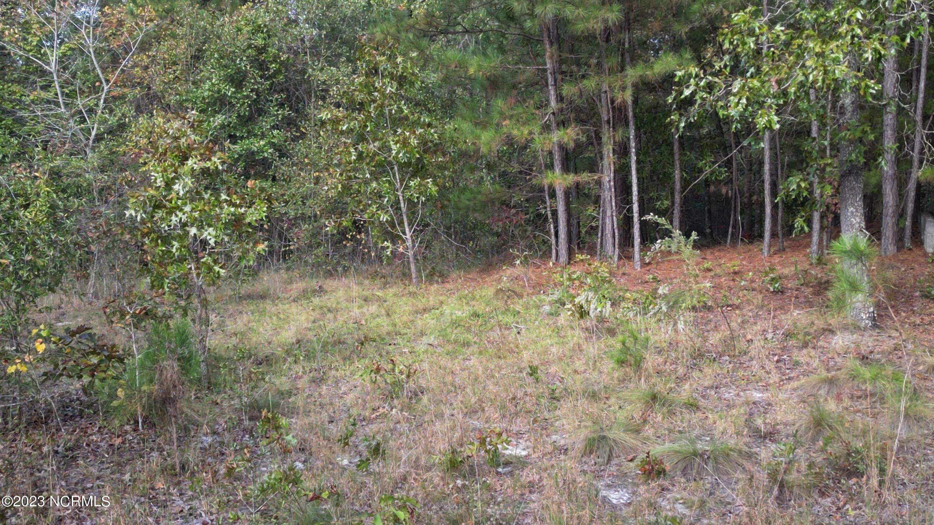 18.33-acre McPherson Road Vass, NC 28394 - Photo 35 of 39 DJI_0158