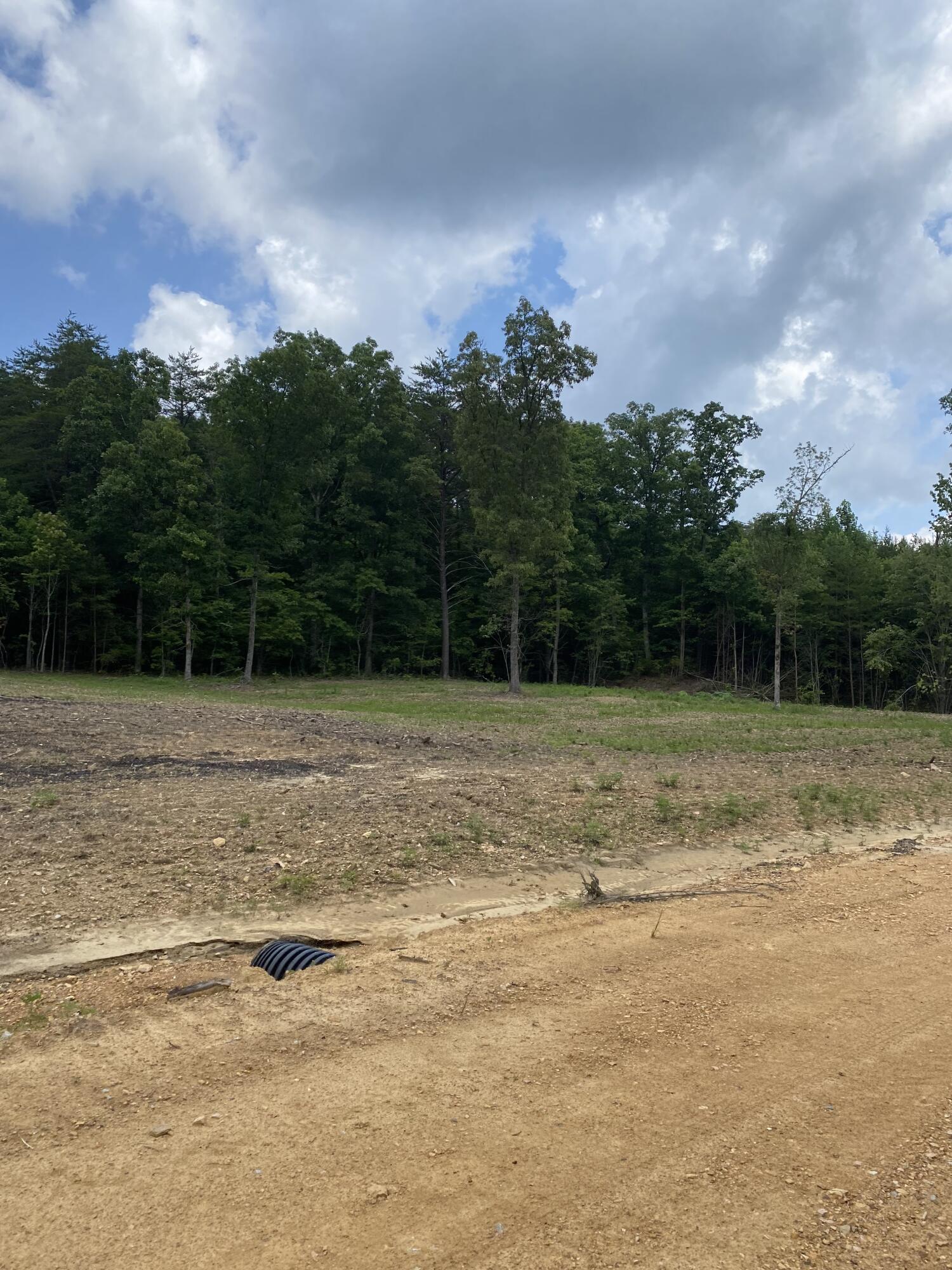 200 Ed Bowling Road Pikeville, TN 37367 - Photo 22 of 40 Image00022