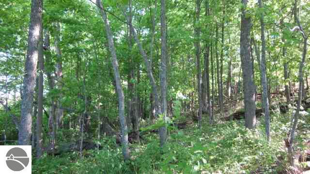 2545 West Trumbull Road Maple City, MI 49664 - Photo 19 of 22 1743393-18.JPG