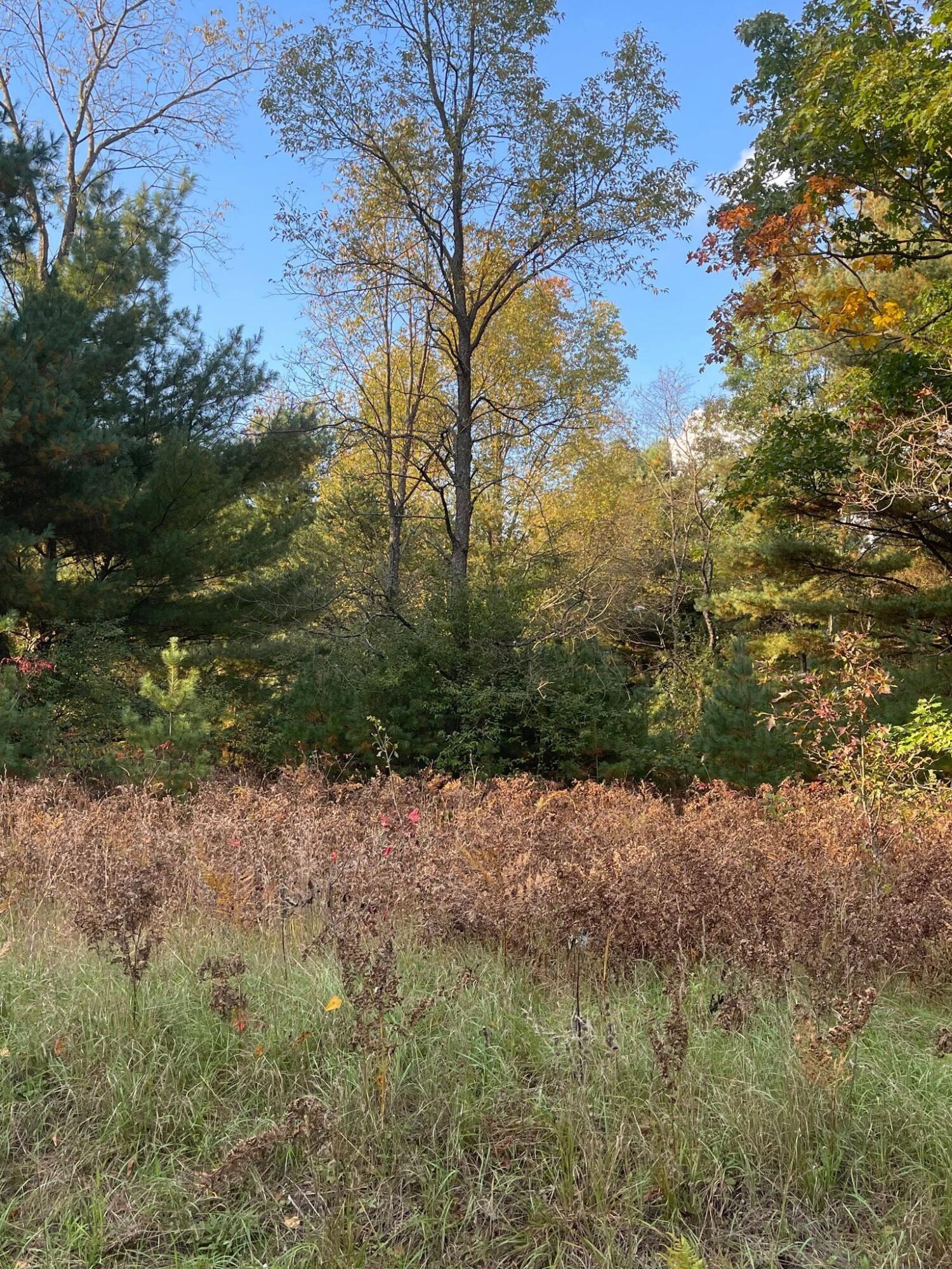D East D E Ehler Road Branch, MI 49402 - Photo 5 of 6 5