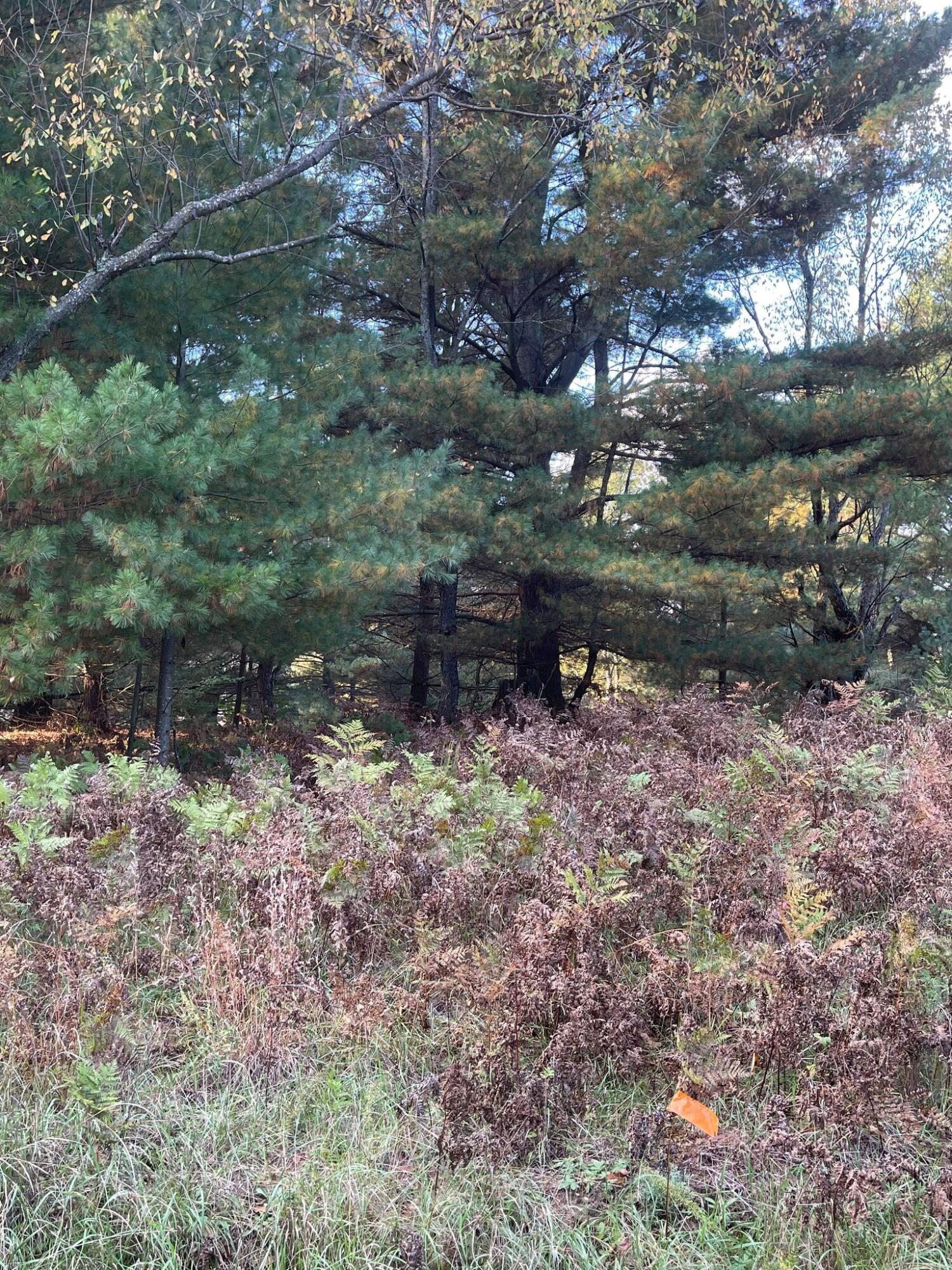 D East D E Ehler Road Branch, MI 49402 - Photo 6 of 6 6