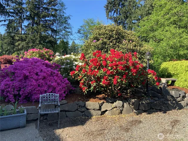 a view of a wooden bench sitting in backside of flowers