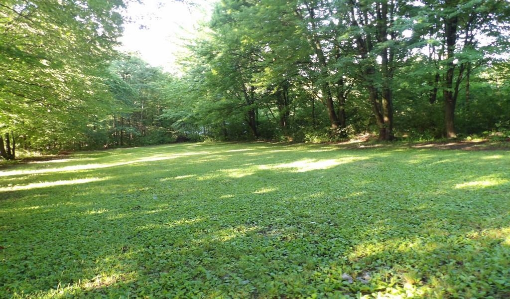 3750 Curtis Road Birch Run, MI 48415 - Photo 4 of 20