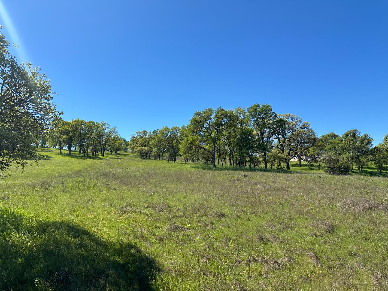 3404 Little John Road Copperopolis, CA 95228 - Photo 2 of 6 a view of a field with trees in background