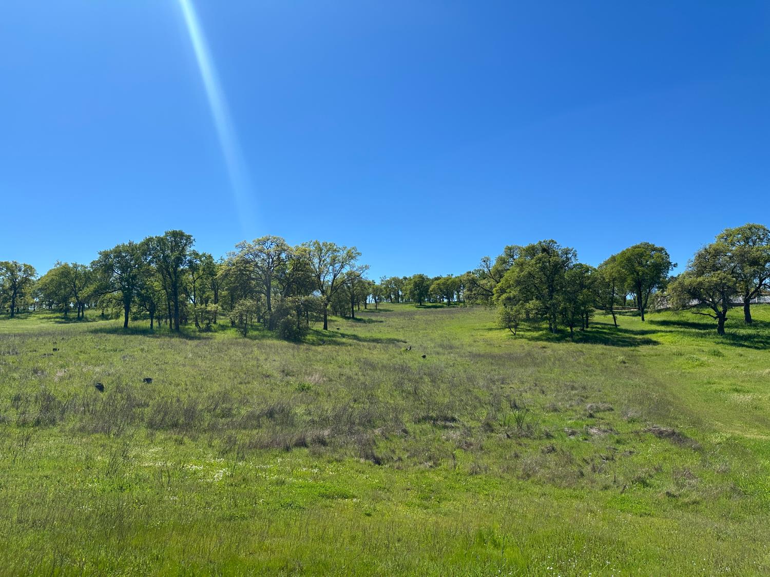 3404 Little John Road Copperopolis, CA 95228 - Photo 4 of 6 a view of an outdoor space and a yard