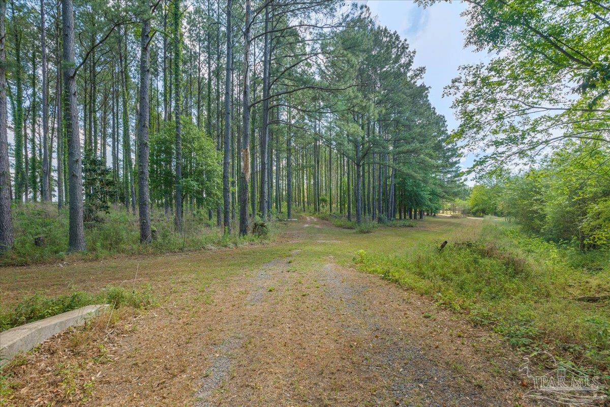 6374 Perfect Acres Road Milton, FL 32570 - Photo 51 of 66