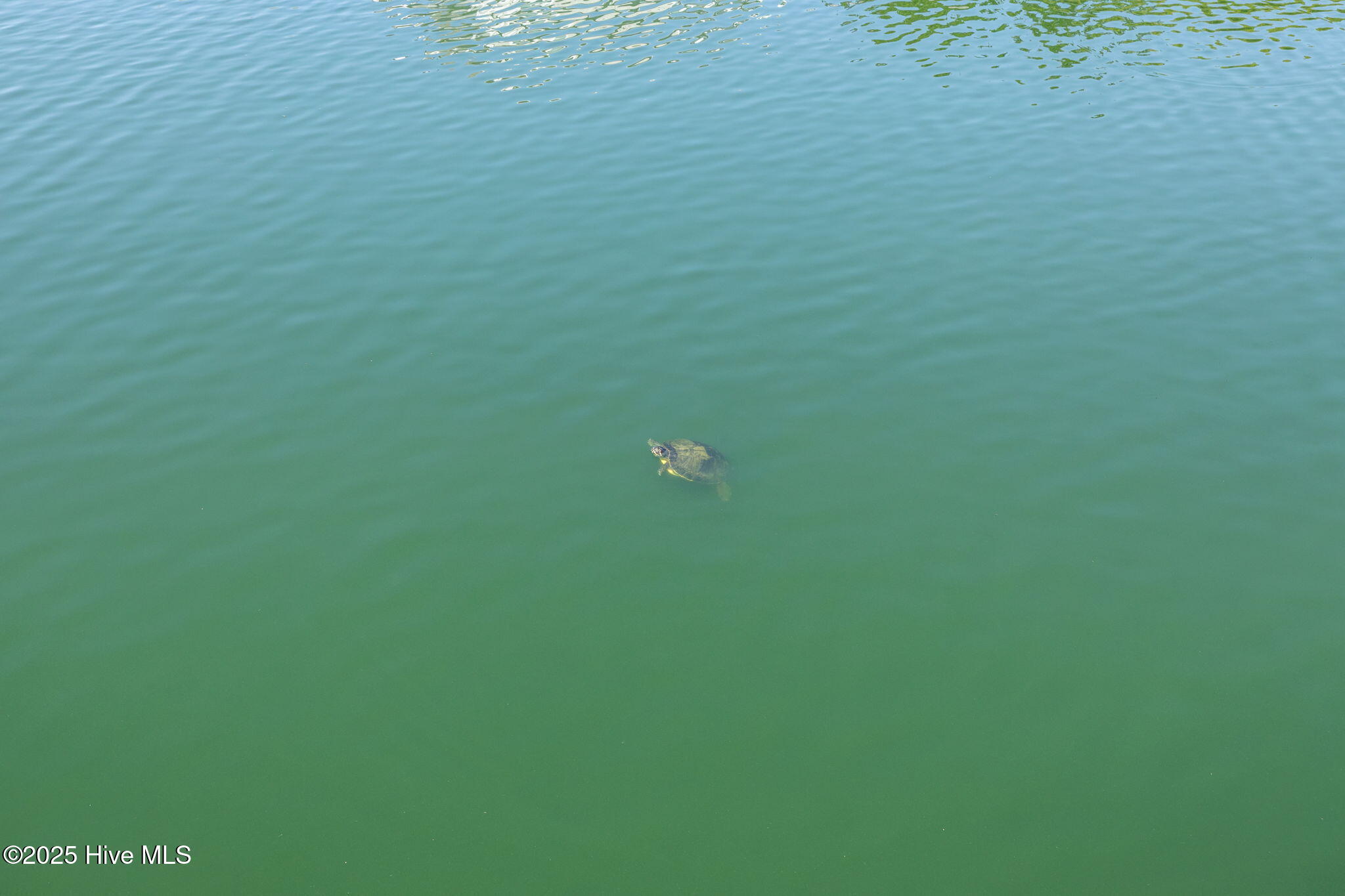 130 Salter Path Road, Unit Q83 Pine Knoll Shores, NC 28512 - Photo 46 of 51 49-web-or-mls-1S3A8802