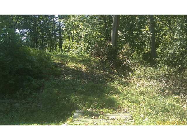 74586 Lively Ridge Road Albany, OH 45710 - Photo 3 of 10