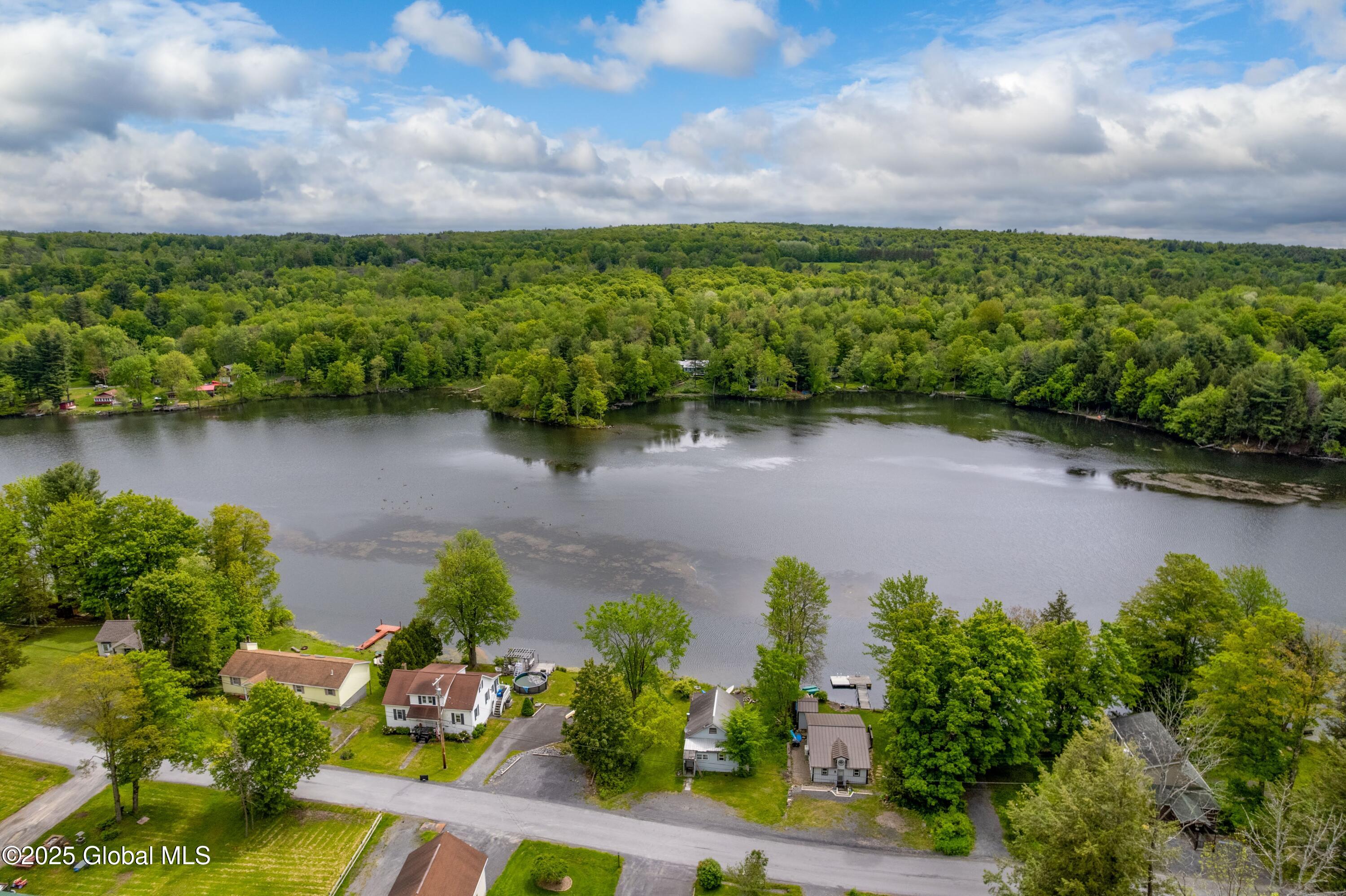 165 Lake Road Westerlo, NY 12023 - Photo 29 of 57 37-165 Lake Drone
