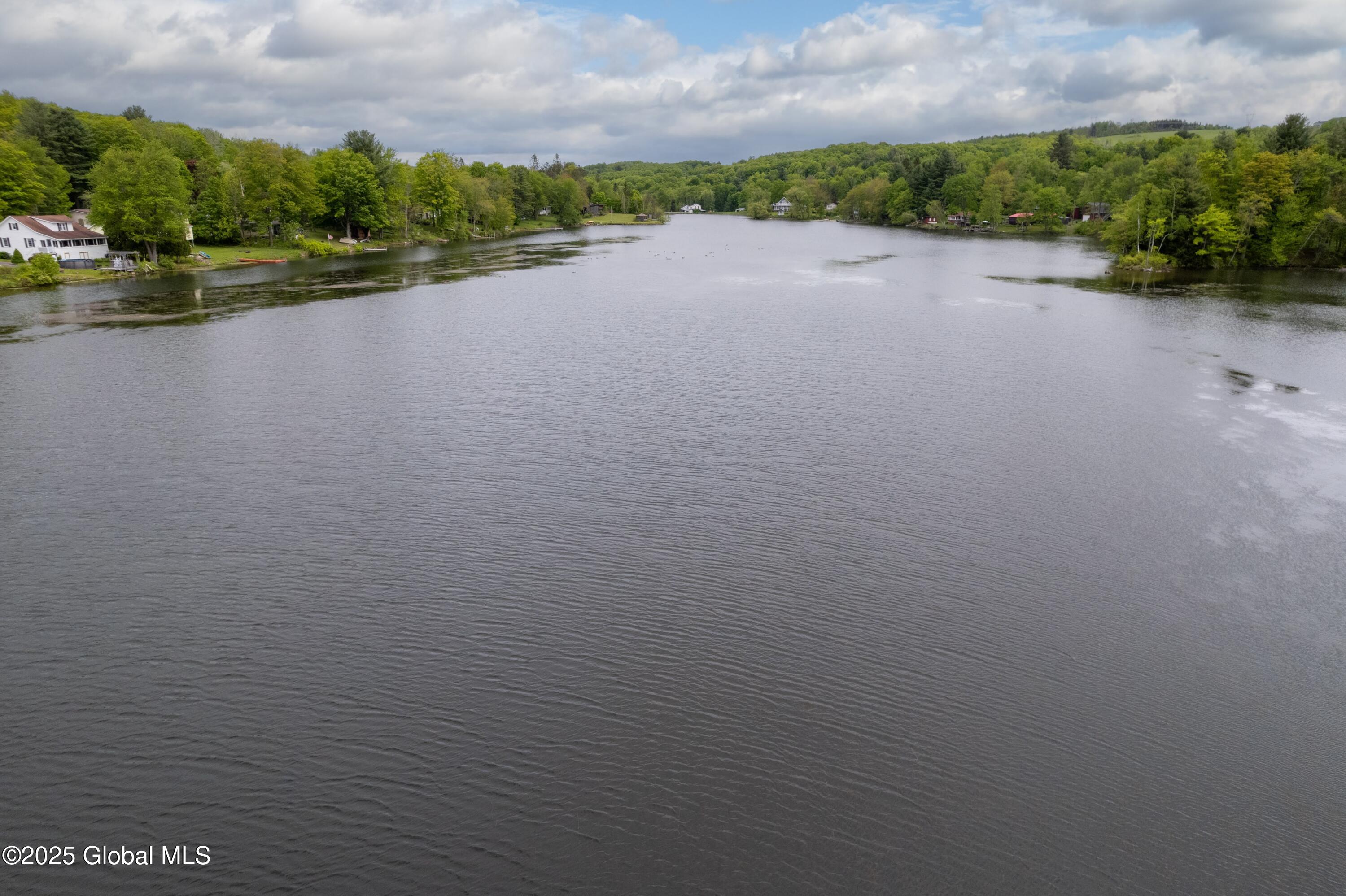 165 Lake Road Westerlo, NY 12023 - Photo 39 of 57 47-165 Lake Drone