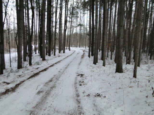 5845 Fostoria Road Columbiaville, MI 48421 - Photo 44 of 44 Driveway