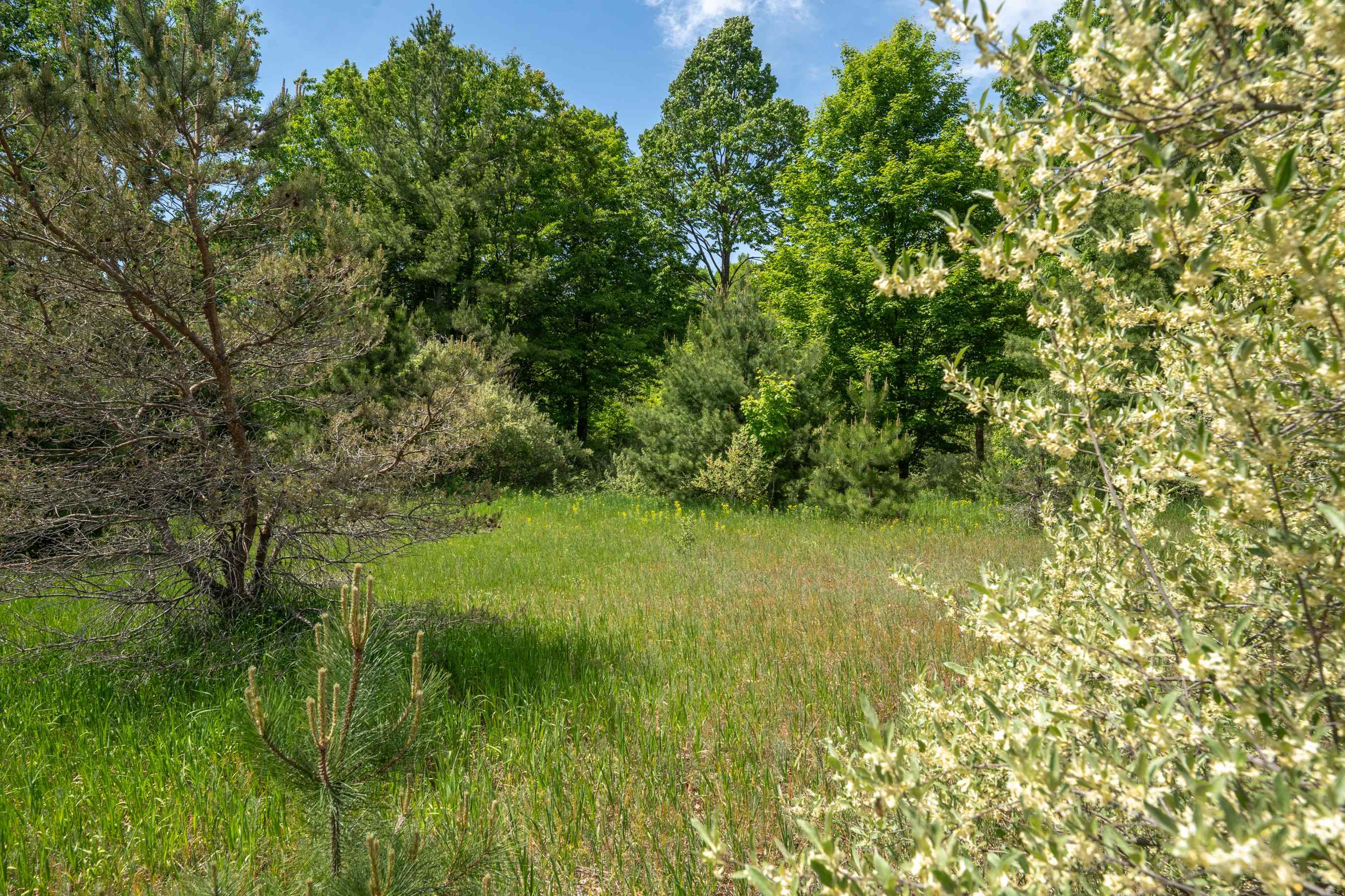 Tbd Traverse Road Thompsonville, MI 49683 - Photo 29 of 40