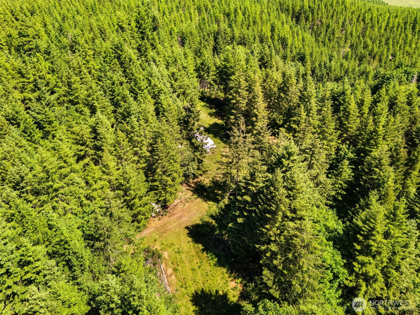 150 North Sunnyside Road Shelton, WA 98584 - Photo 20 of 22