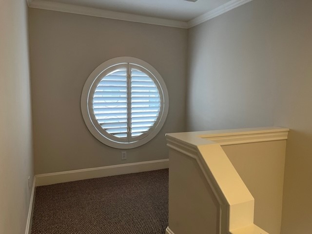 2425 Dorrington Street, Unit B Houston, TX 77030 - Photo 15 of 31 a view of a livingroom with a window