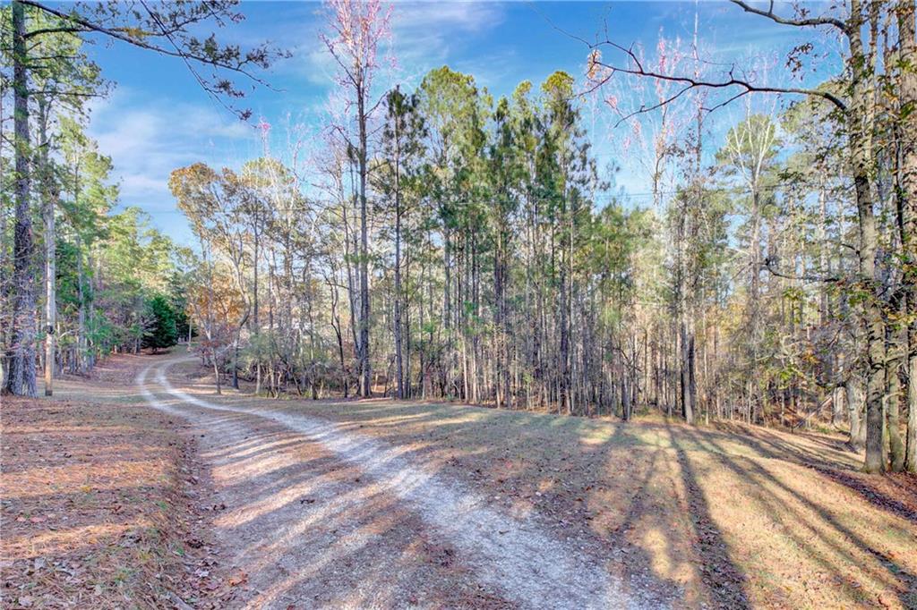 10185 Henry Mill Road Chattahoochee Hills, GA 30213 - Photo 39 of 41