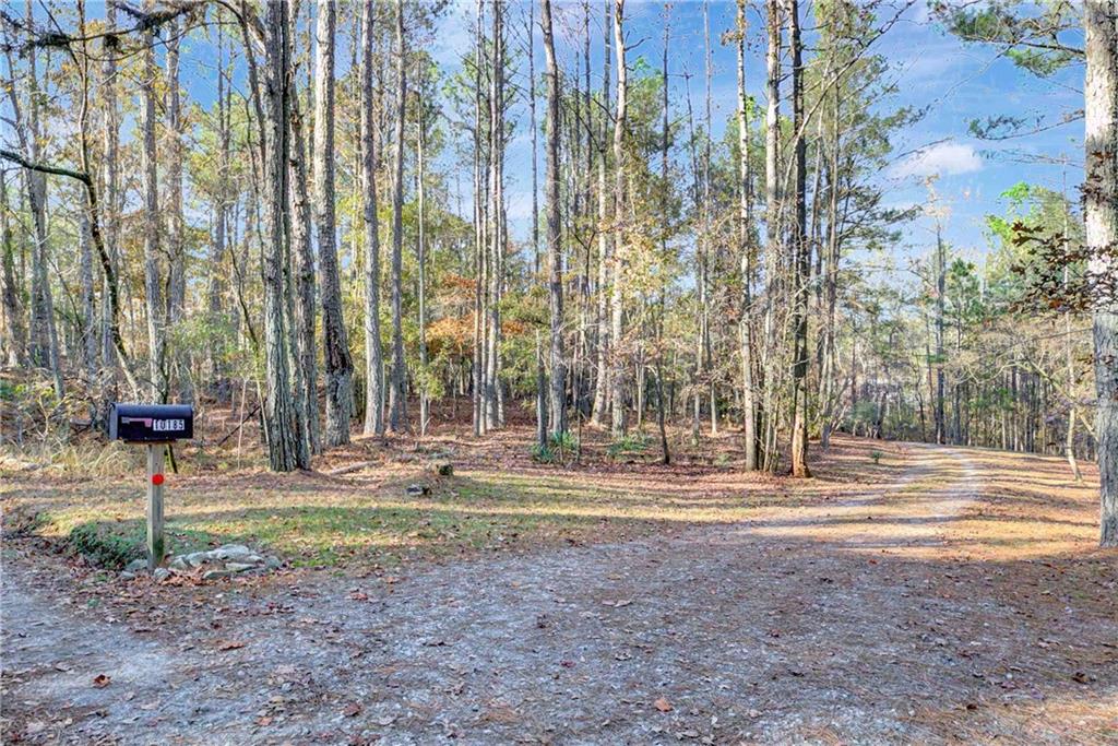 10185 Henry Mill Road Chattahoochee Hills, GA 30213 - Photo 40 of 41 a backyard of apartments with large trees