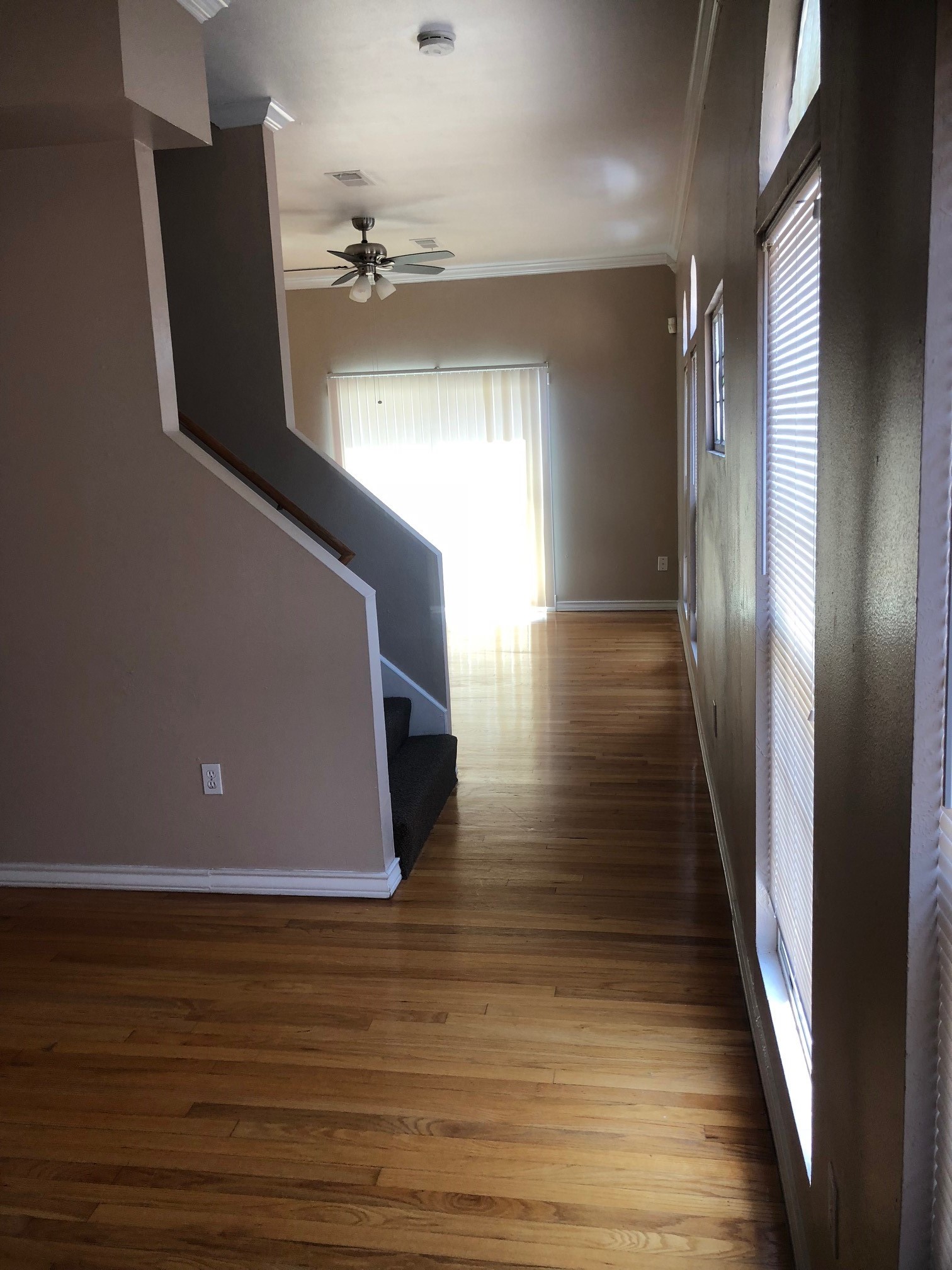 4122 Drake Street, Unit 1/2 Houston, TX 77005 - Photo 5 of 38