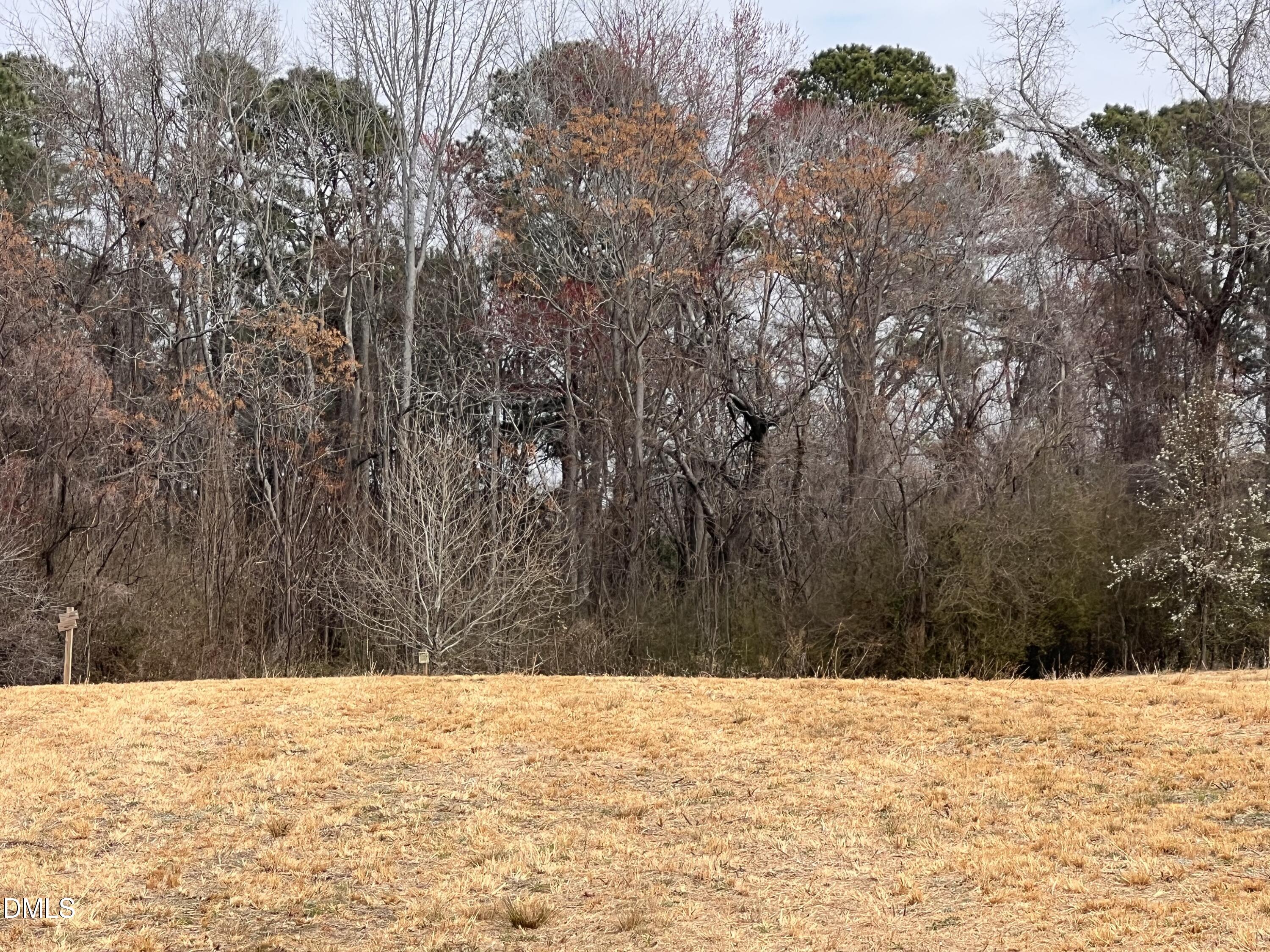 1129 Landmark Road Willow Spring, NC 27592 - Photo 3 of 4 Lot 1 Image 2