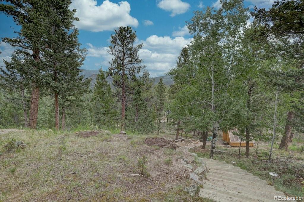 220 Long Ridge Drive Bailey, CO 80421 - Photo 5 of 50 Gallery Image 5