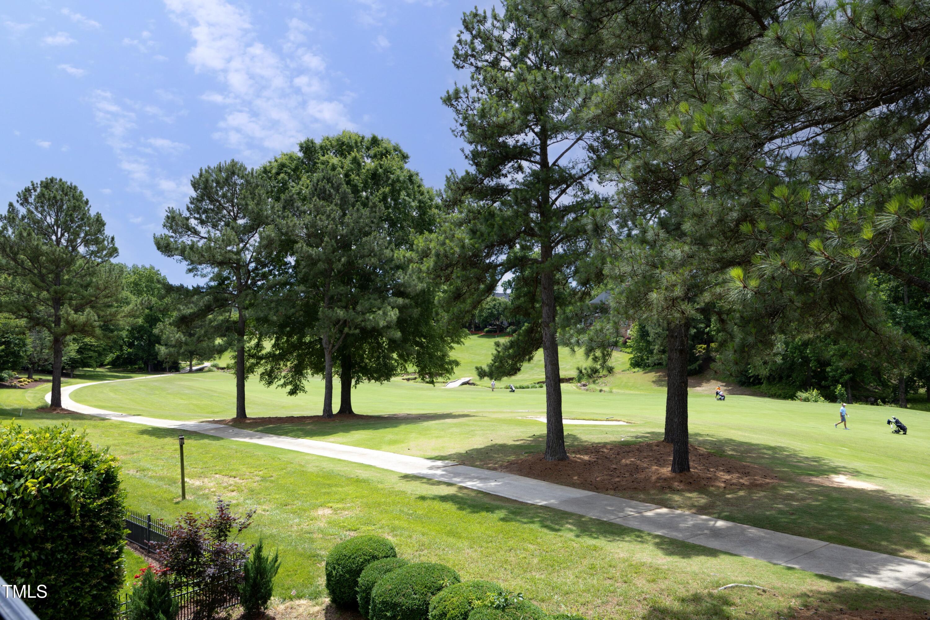 2800 Charleston Oaks Drive Raleigh, NC 27614 - Photo 28 of 53 a view of yard