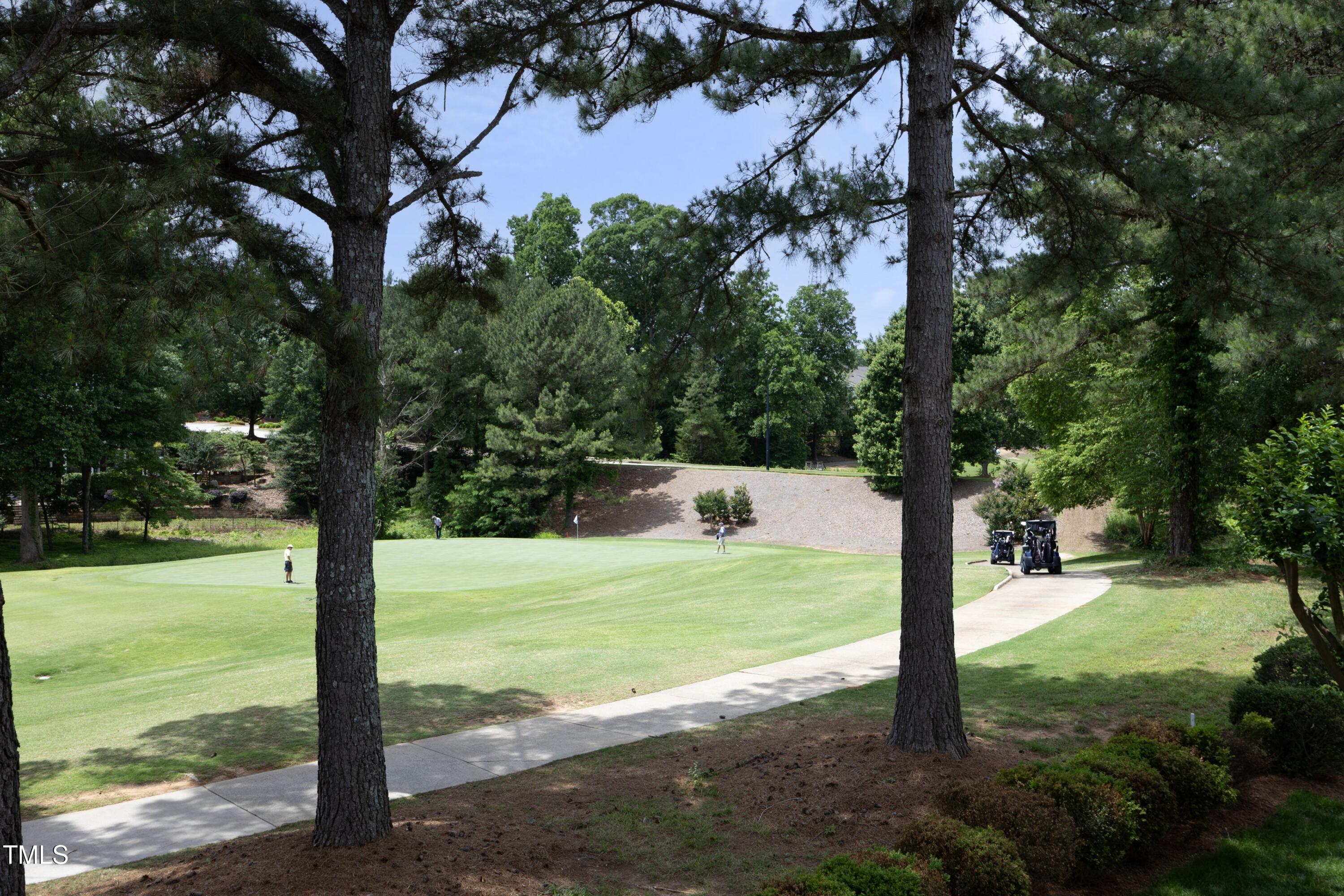 2800 Charleston Oaks Drive Raleigh, NC 27614 - Photo 30 of 53 a view of a field with a tree