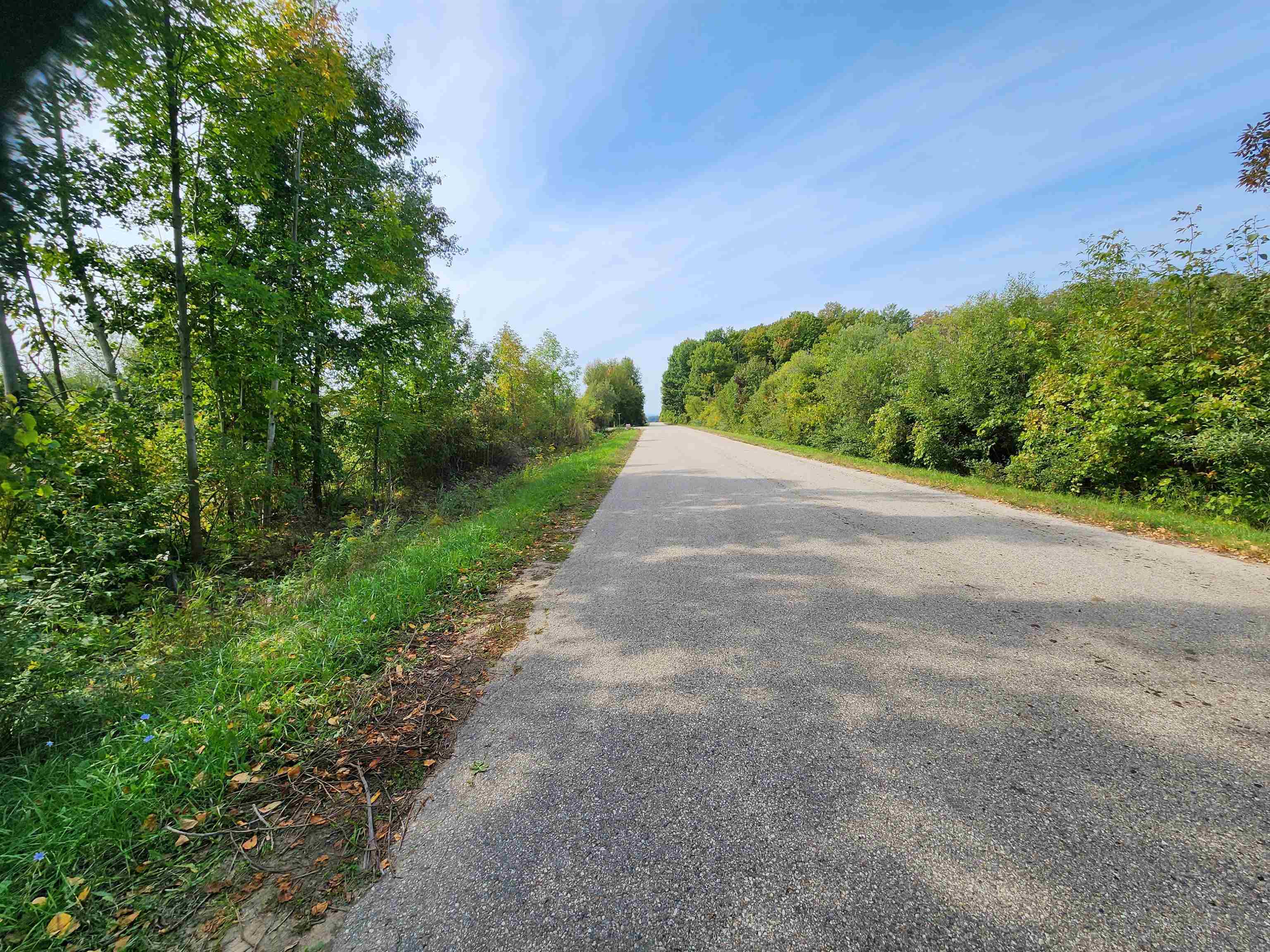 Lot 5 Sutter Road, Unit LOT: 5 Kewadin, MI 49648 - Photo 5 of 41 Gallery Image 5