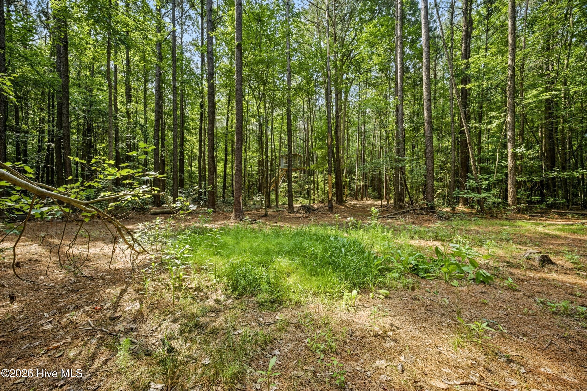 1285 Schoolhouse Road Elizabeth City, NC 27909 - Photo 41 of 49