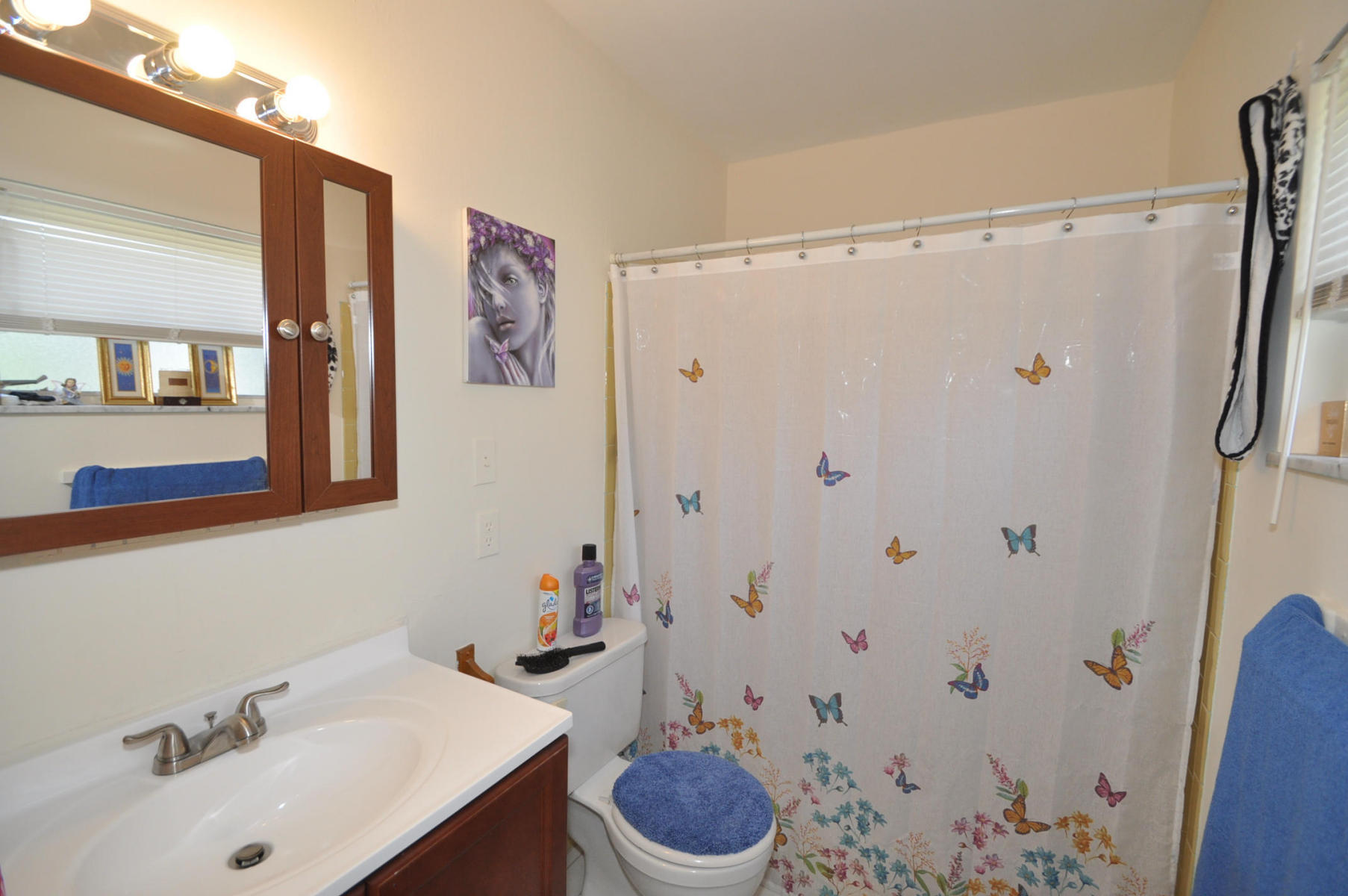 11171 Mandarin Street Boca Raton, FL 33428 - Photo 11 of 27 20150909001303174929000000-o