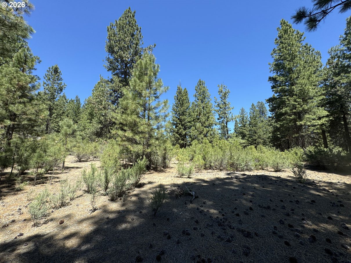 Friendship Drive, Unit 15 Chiloquin, OR 97624 - Photo 14 of 41