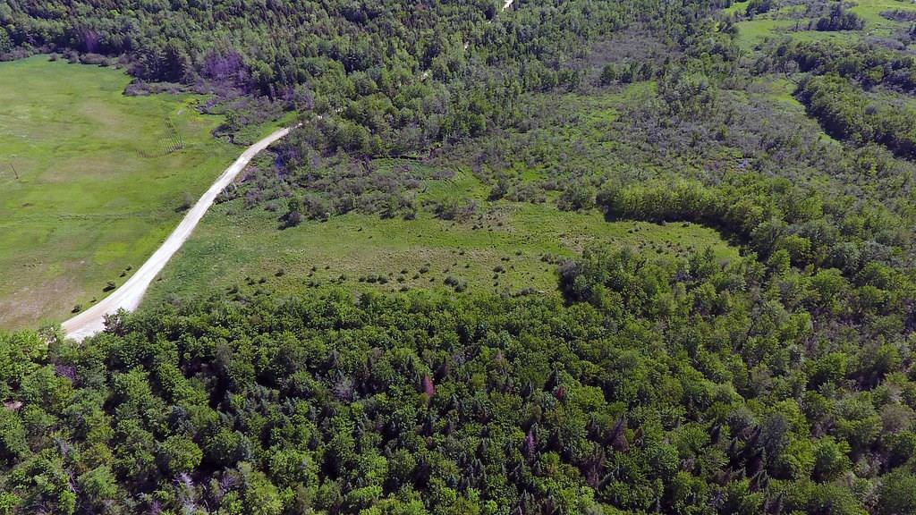 Tbd Grover Bridge Road Carthage, ME 04224 - Photo 6 of 17 Photo