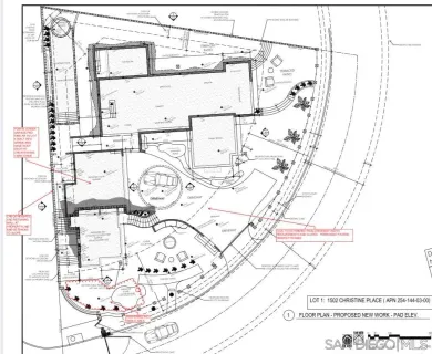 a view of a garden with plants