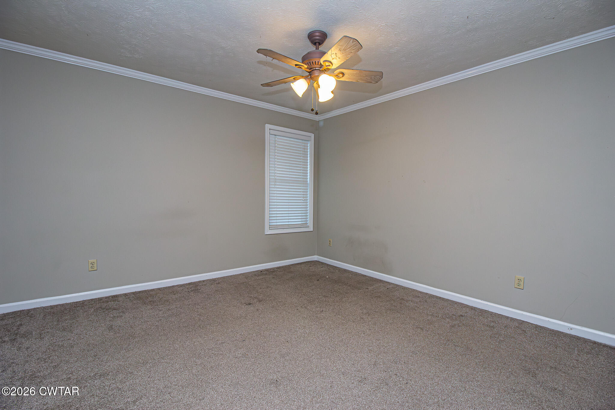 231 Tuckahoe Road Jackson, TN 38305 - Photo 23 of 39 IMG_4809