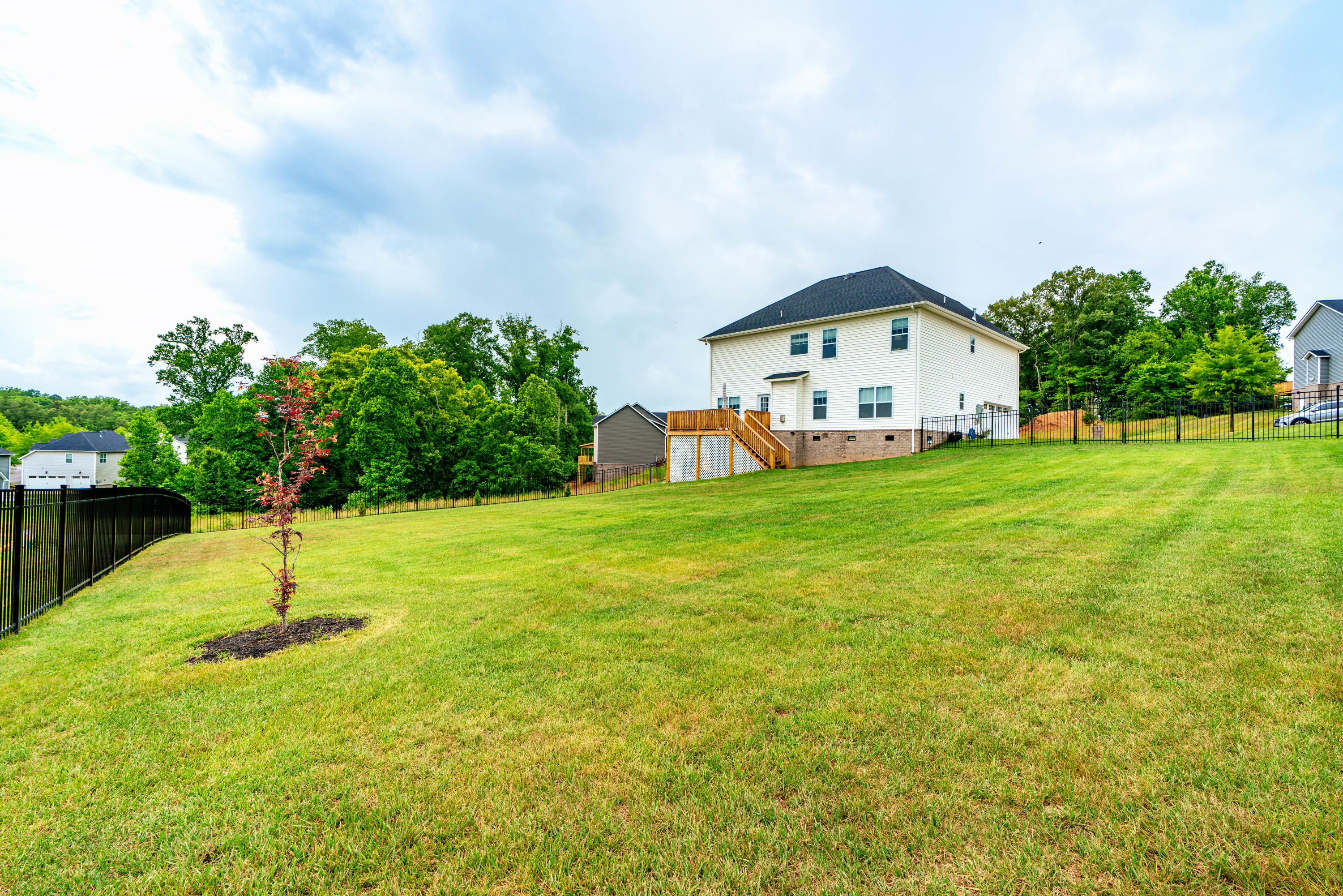 103 Mistletoeberry Road, Unit LOT 425 Oak Ridge, TN 37830 - Photo 4 of 38 Fenced in Yard