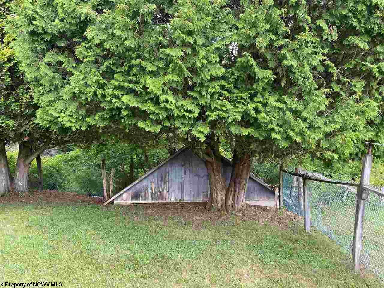 1 Back Mountain Road Durbin, WV 26264 - Photo 16 of 25 Gallery Image 16