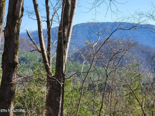 $976,500 | 39 E Highway, Englewood, TN 37329