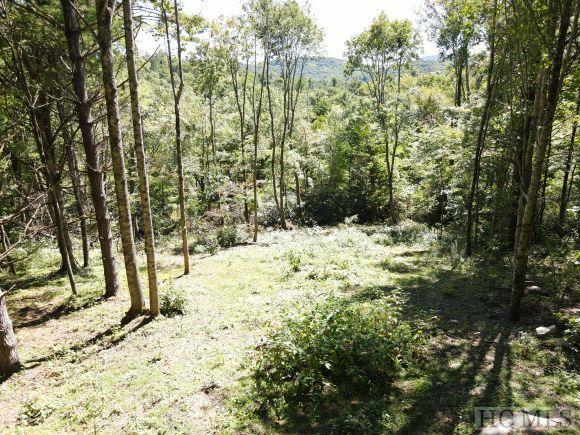 Lot #59 Springhead Trail Cullowhee, NC 28723 - Photo 4 of 5 Gallery Image 4