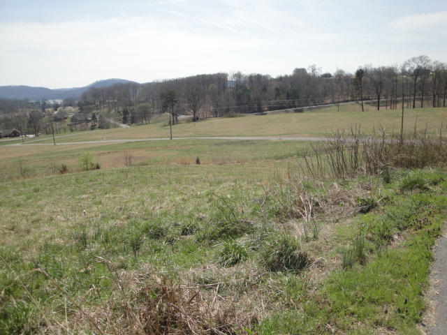 Lot 19 Pocahontas Lane Rutledge, TN 37861 - Photo 2 of 2 Lot 19