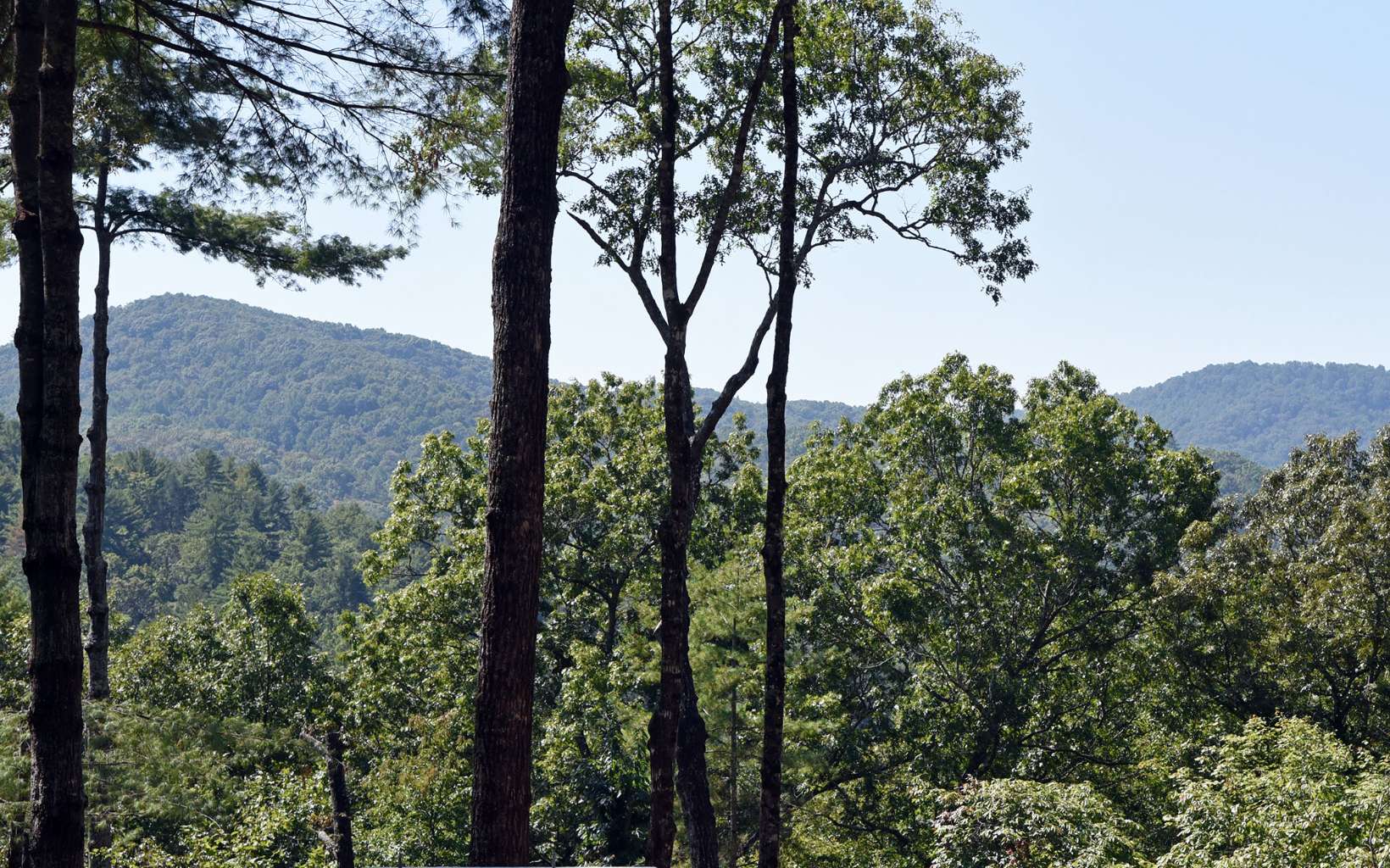 159 Native Trail Cherry Log, GA 30522 - Photo 2 of 40 Additional View