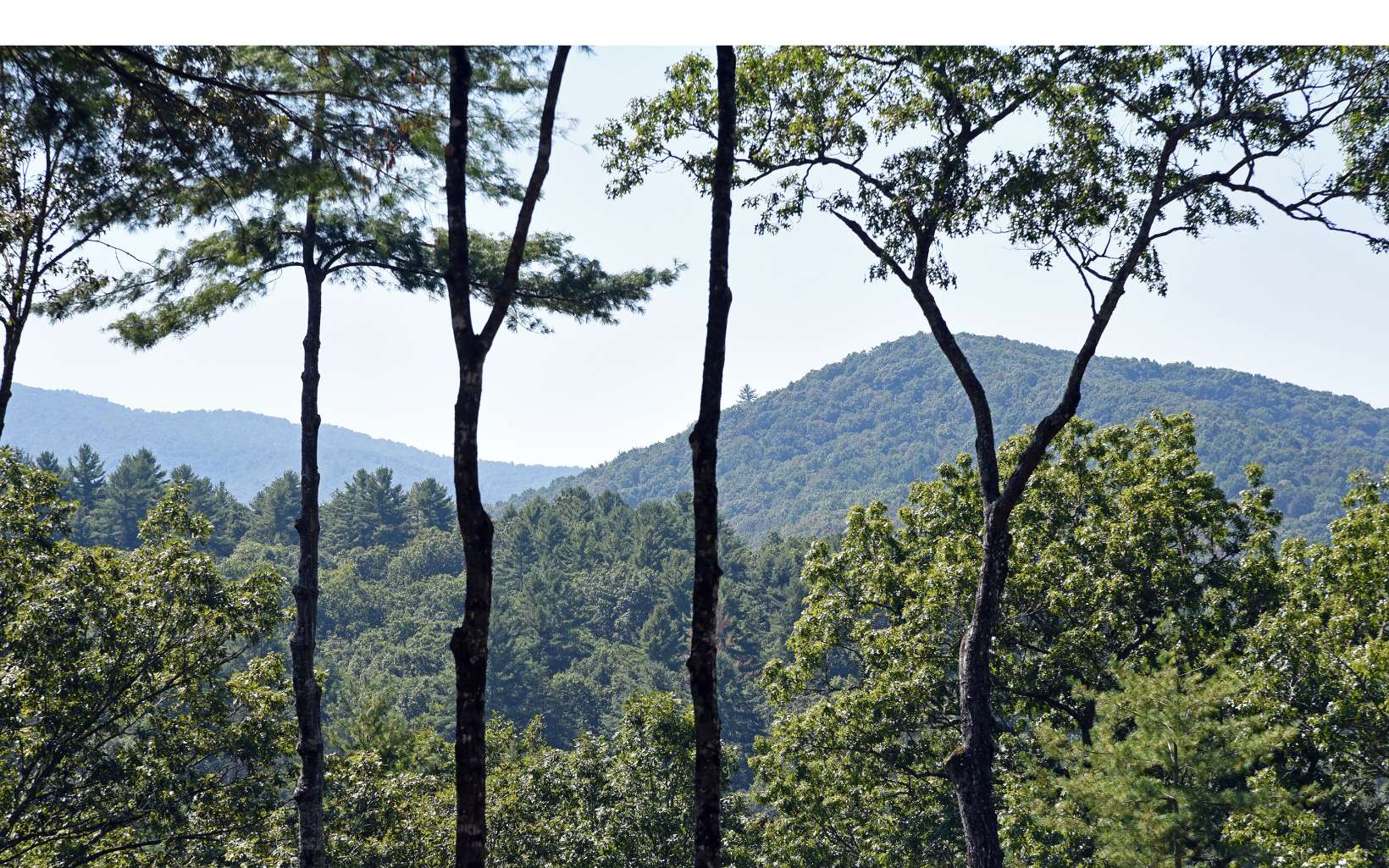 159 Native Trail Cherry Log, GA 30522 - Photo 4 of 40 Additional View