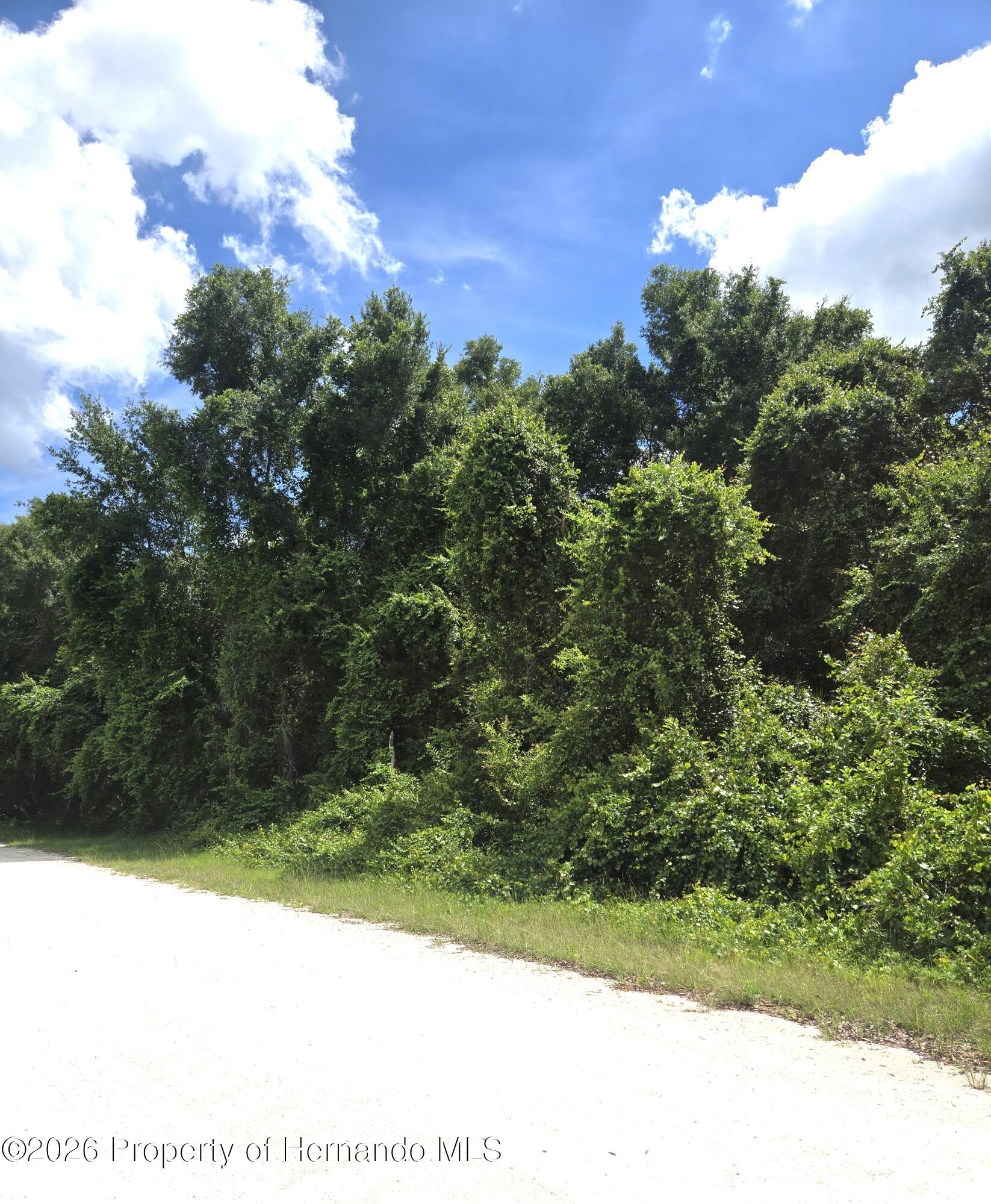 0 Alloy Street Webster, FL 33597 - Photo 5 of 7