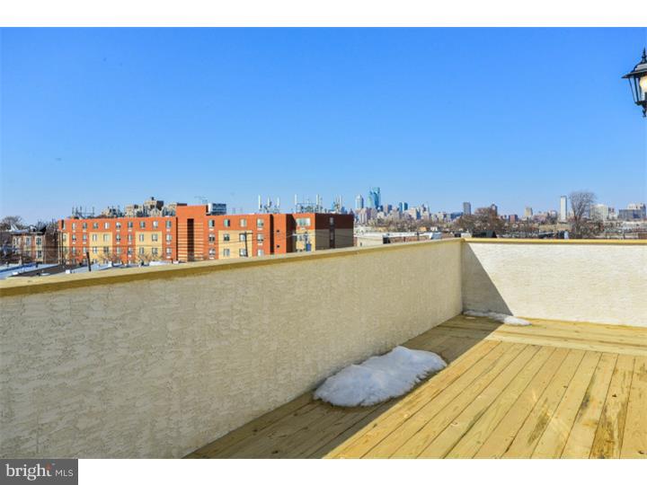446 Tree Street Philadelphia, PA 19148 - Photo 15 of 22 Deck