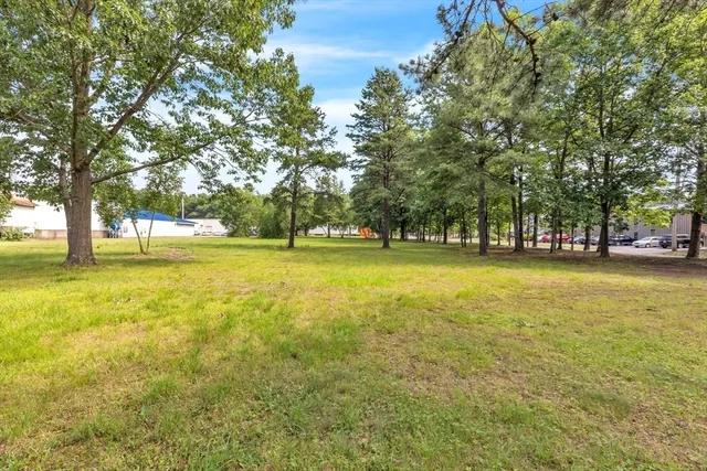 a view of an ocean with trees