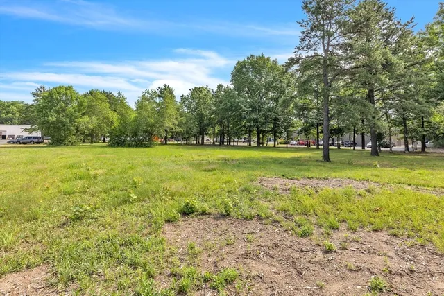 a view of a green field with trees in the background