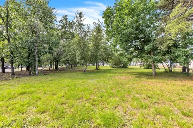 a view of outdoor space with deck and trees