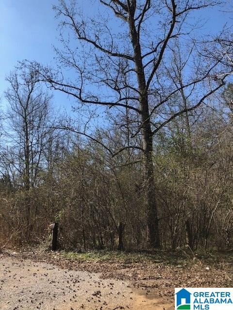 0 Blackjack Road, Unit 24 Trussville, AL 35173 - Photo 8 of 21