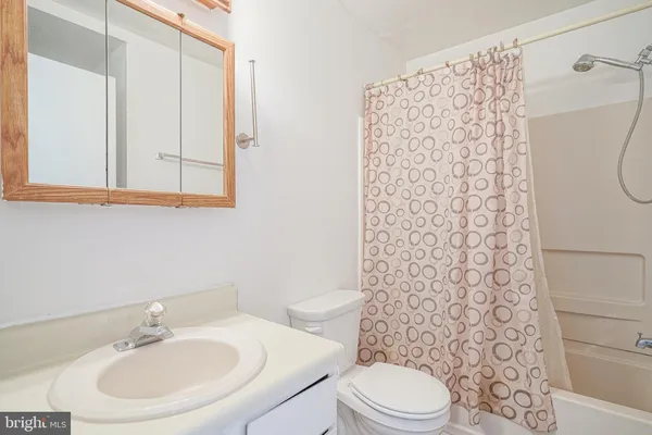 a bathroom with a sink a toilet and shower curtain